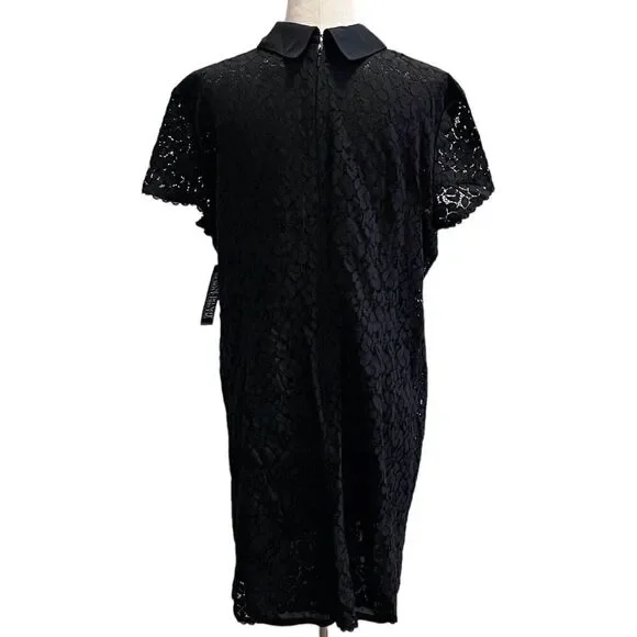 NEW YORK & COMPANY Black Lace Overlay Dress w/ Collar Size XLARGE Collared Lined - Picture 4 of 11